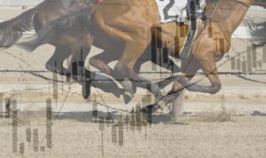 How to Pick “Thoroughbred” Stocks